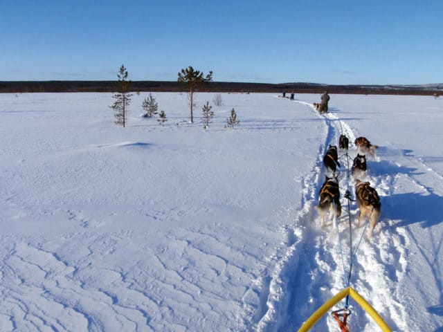Norwegen: Mit dem Hundeschlitten zum Polarlicht