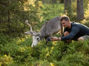 Rentier als Influencer: Clevere Kampagne soll Besucher nach Lappland locken