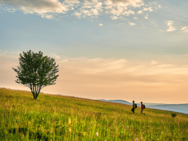 Deutsche Wanderwege: 10 Tagestouren für die Herbstzeit