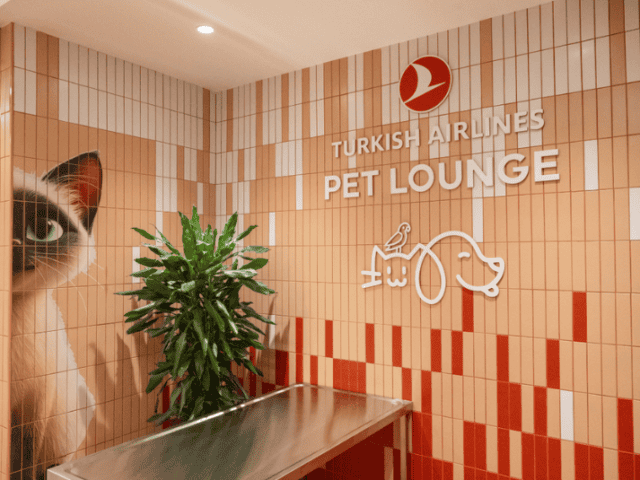 Pet Lounge eröffnet: Neue Attraktion am Flughafen Instanbul