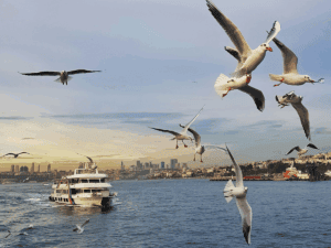 Bosporus-Boom: Istanbul eines der beliebtesten Reiseziele 2025