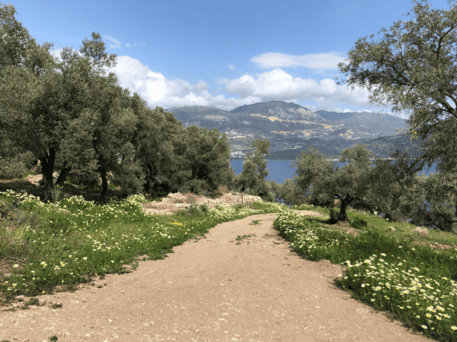 Türkei setzt auf Aktiv-Urlaub: Lykischer Weg zieht immer mehr Wander-Fans an