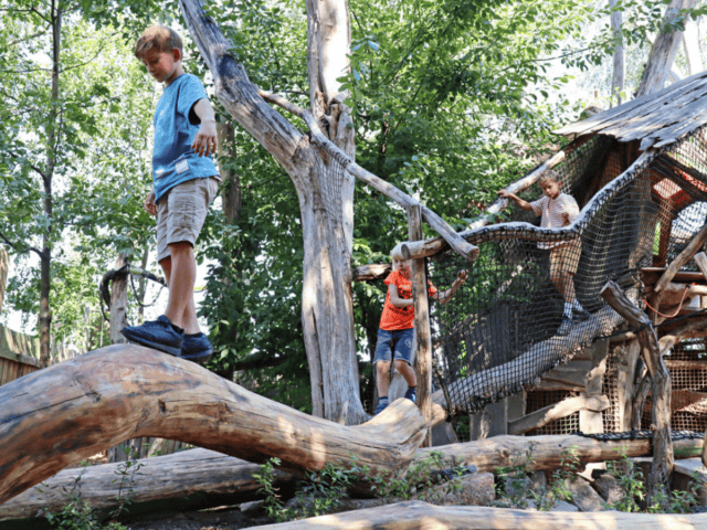 Öko-Freizeitpark wieder eröffnet: Sachsens neue nachhaltige Märchenwelt